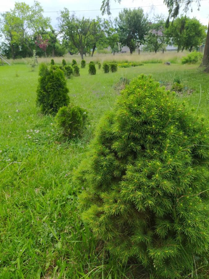 Pokoje gościnne na Kaszubach. Szemud Zewnętrze zdjęcie
