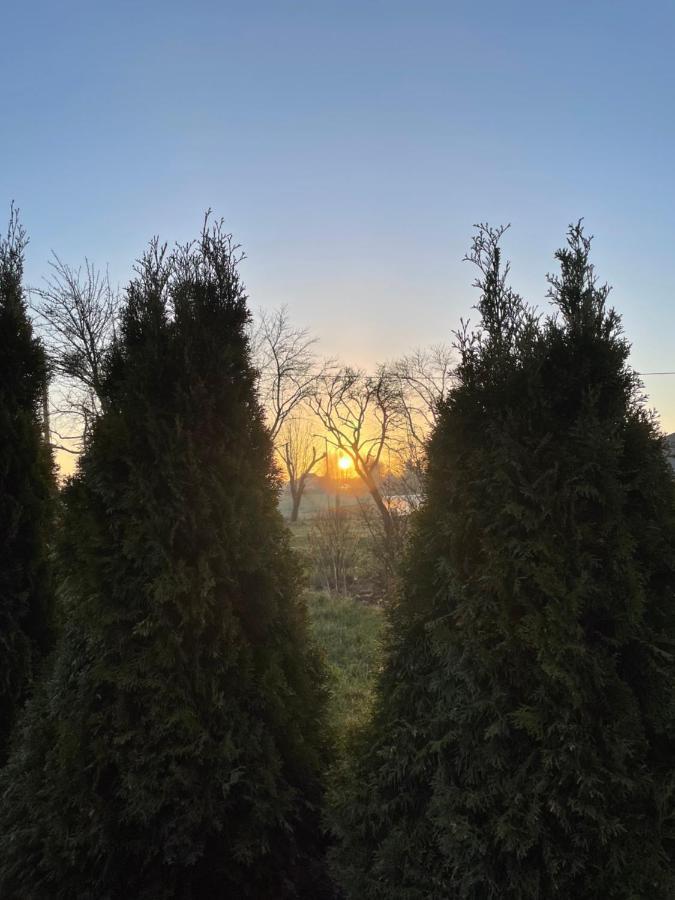 Pokoje gościnne na Kaszubach. Szemud Zewnętrze zdjęcie